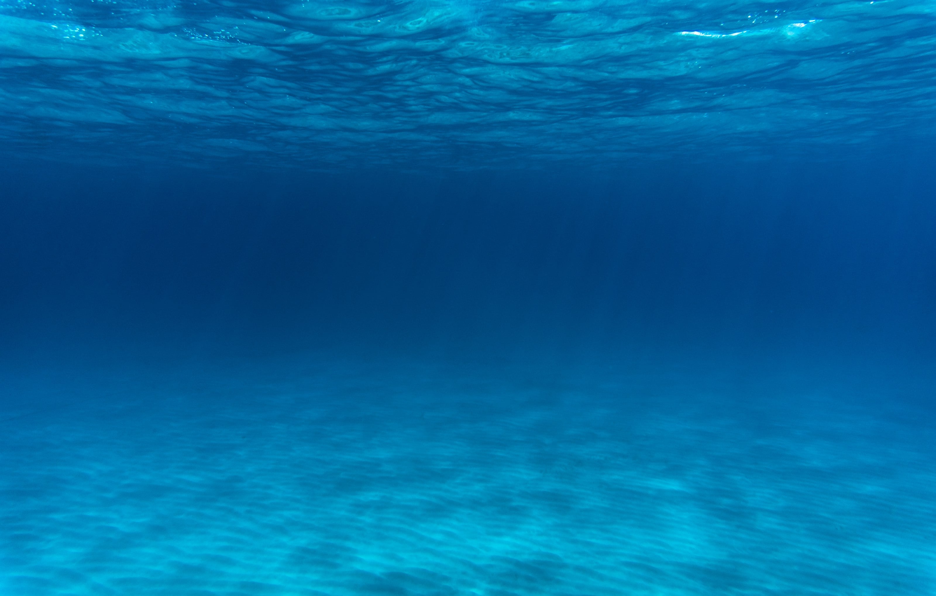 A reef wall dropping away into open blue water